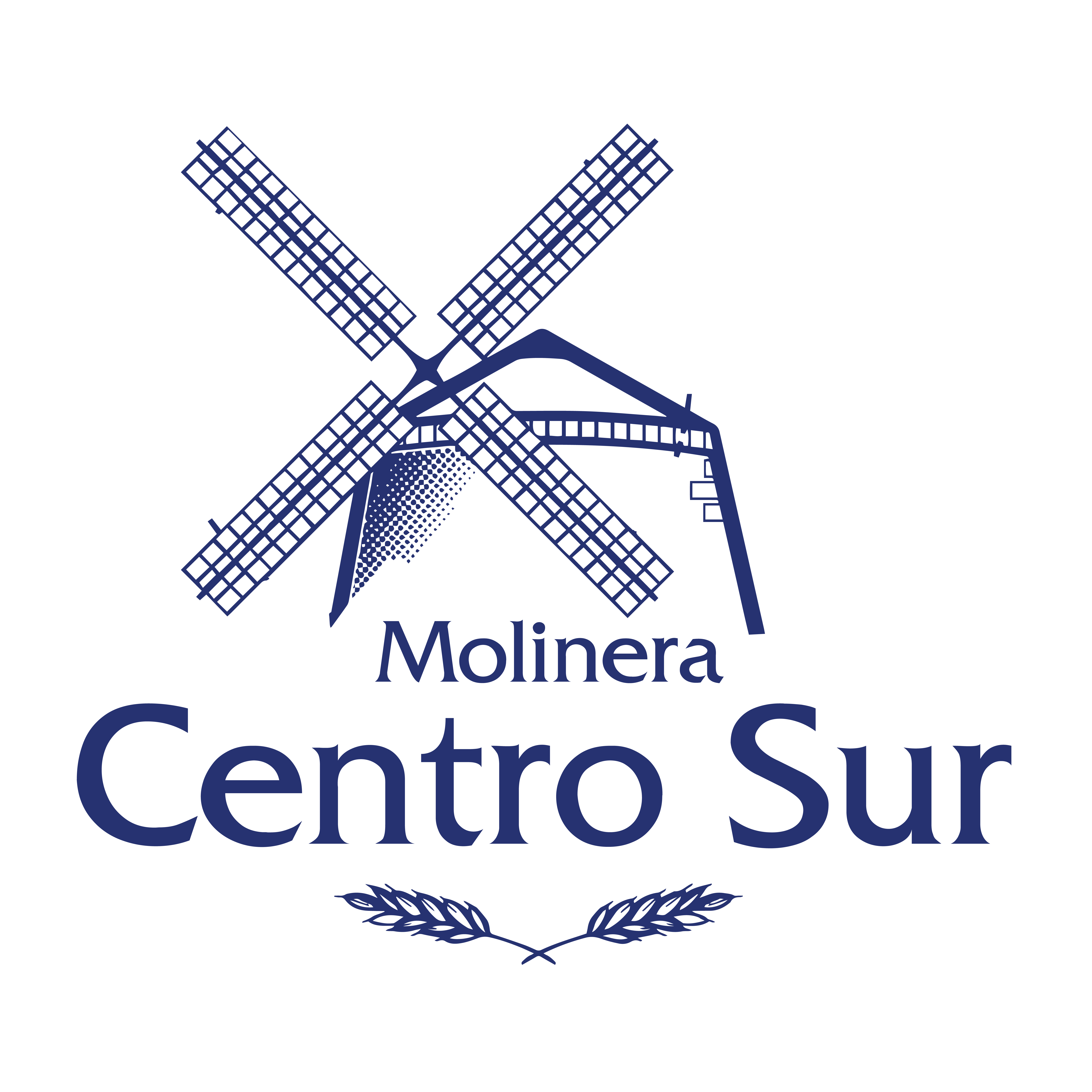 Logo Centro Sur